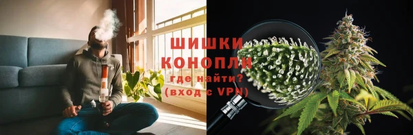 трава Аркадак
