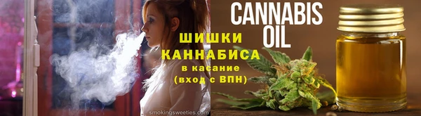 трава Аркадак