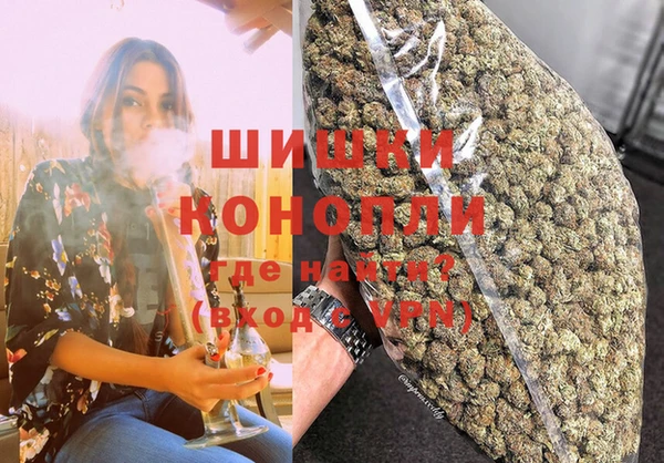 трава Аркадак