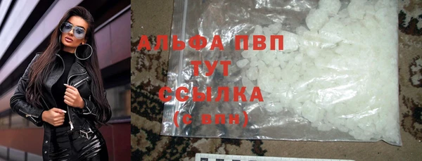 трава Аркадак